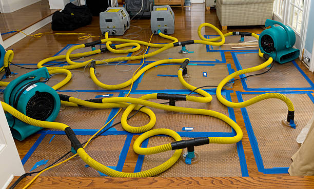 Professional Structural Drying And Dehumidification technician working in Warren, NJ
